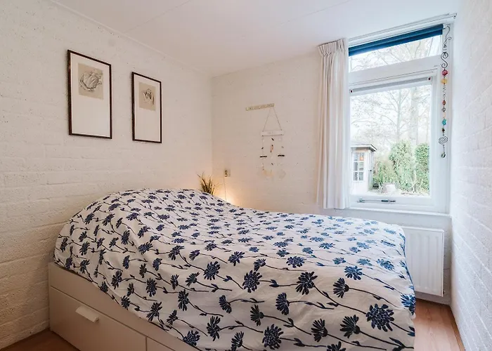 Duindoorn 2 - Klepperstee *